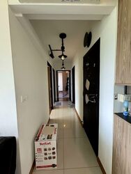 Blk 335C Anchorvale Cove (Sengkang), HDB 4 Rooms #595077381